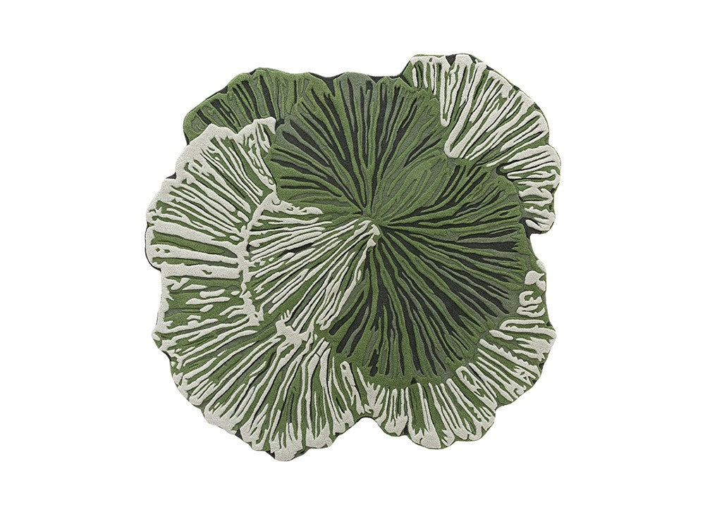 Botanica by GAN for sale at Home Resource Modern Furniture Store Sarasota Florida