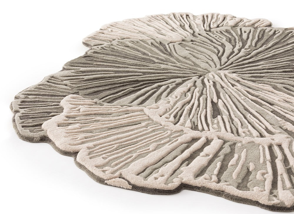 Botanica by GAN for sale at Home Resource Modern Furniture Store Sarasota Florida