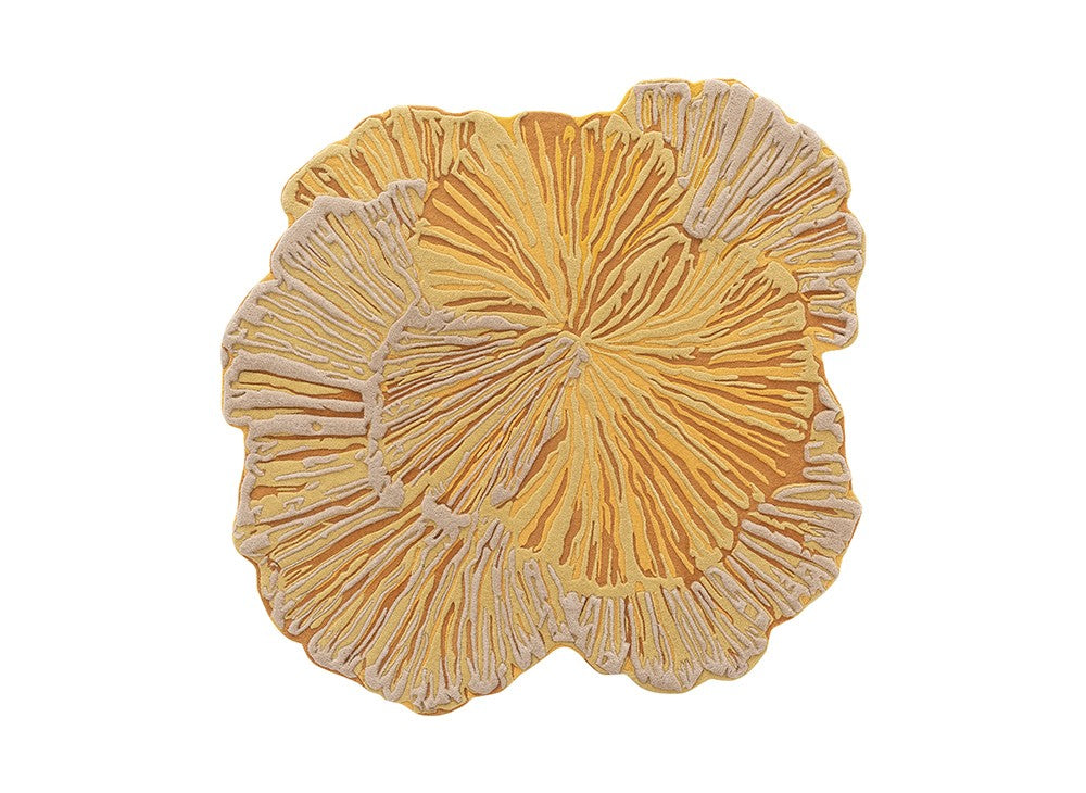 Botanica by GAN for sale at Home Resource Modern Furniture Store Sarasota Florida