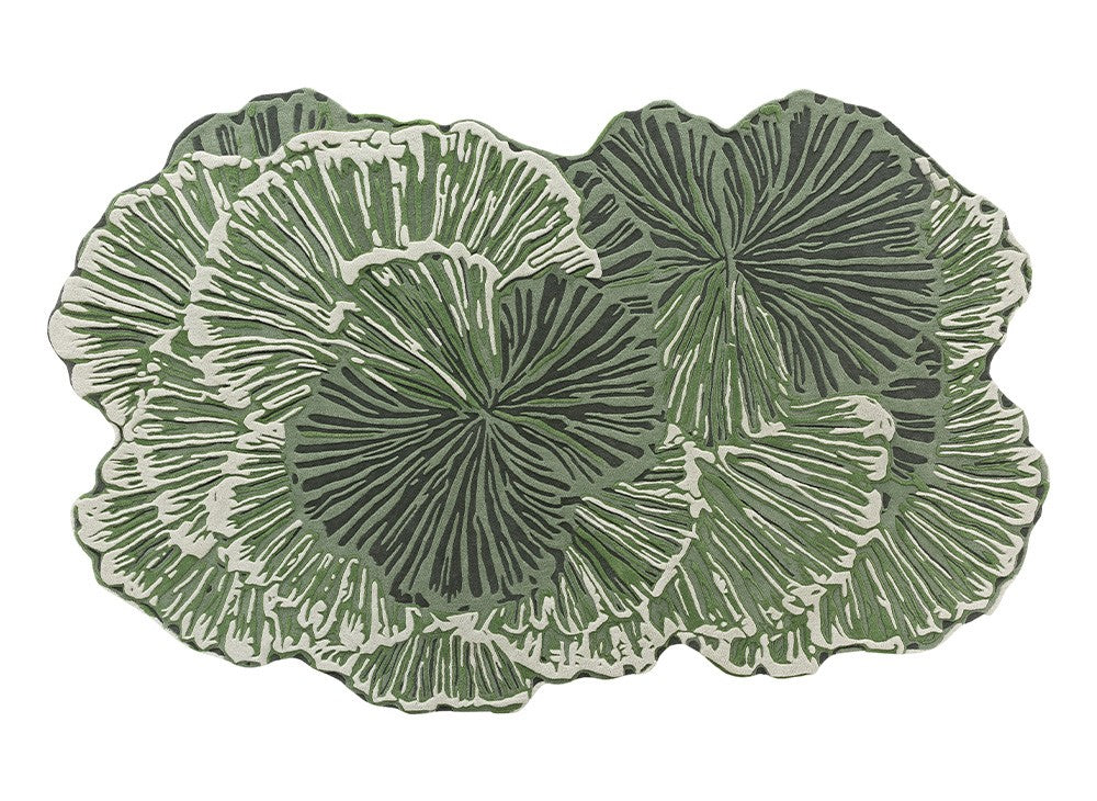 Botanica by GAN for sale at Home Resource Modern Furniture Store Sarasota Florida