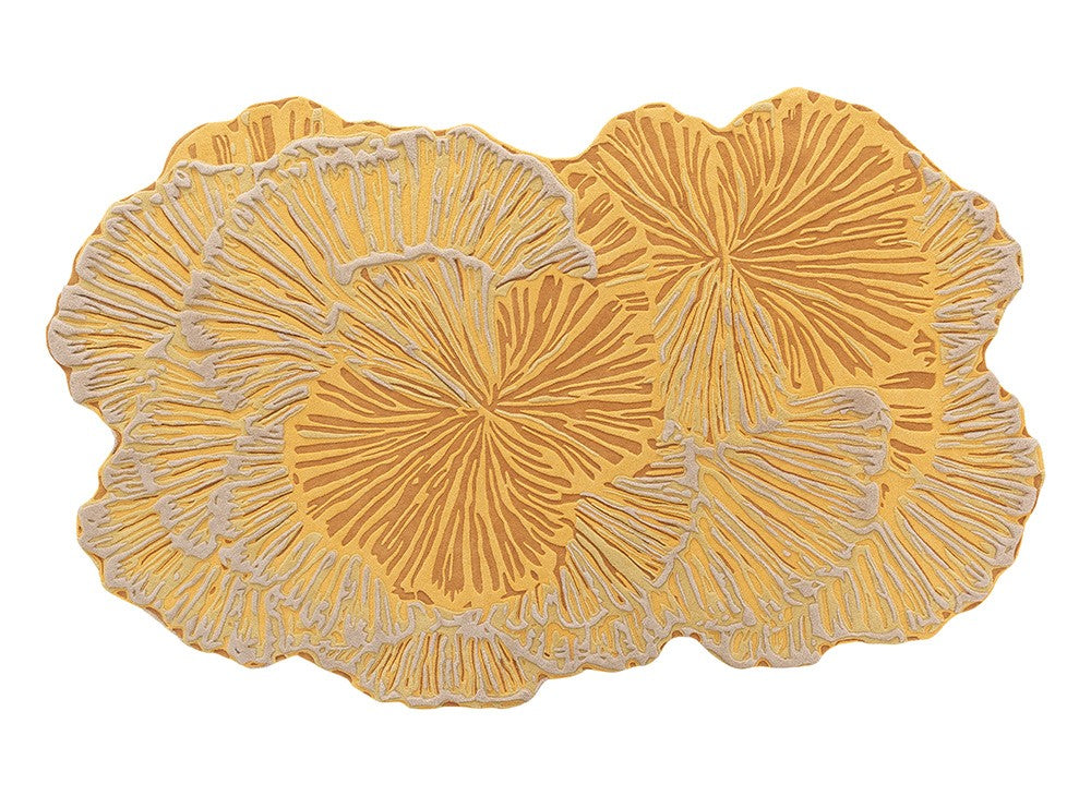 Botanica by GAN for sale at Home Resource Modern Furniture Store Sarasota Florida