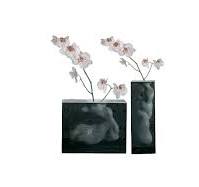 Angelo & Angela by GLAS ITALIA for sale at Home Resource Modern Furniture Store Sarasota Florida