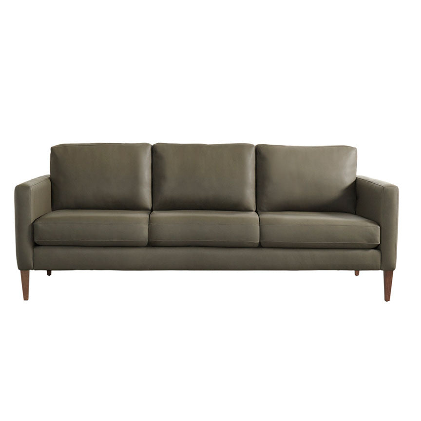 Petite Track Arm Sofa  by American Leather, available at the Home Resource furniture store Sarasota Florida