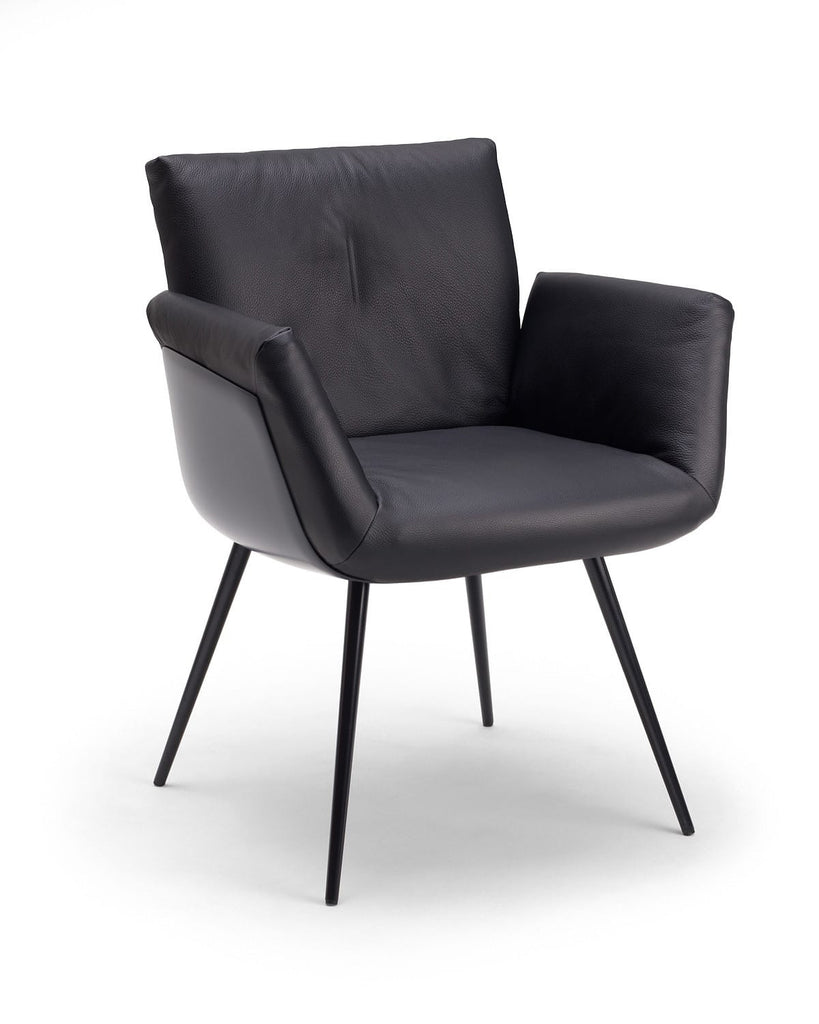 ALVO DINING CHAIR by COR for sale at Home Resource Modern Furniture Store Sarasota Florida