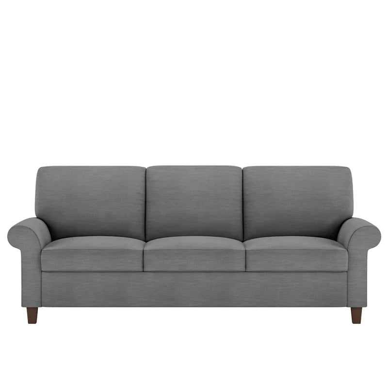 Gibbs Sleeper Sofa  by American Leather, available at the Home Resource furniture store Sarasota Florida