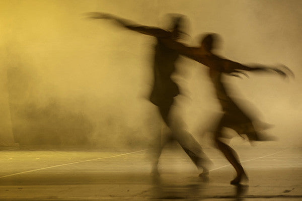 Arts & Culture: Sarasota Contemporary Dance