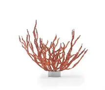 Coral by Kenneth Cobonpue for sale at Home Resource Modern Furniture Store Sarasota Florida