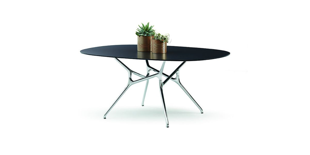 BRANCH TABLE  by Cappellini, available at the Home Resource furniture store Sarasota Florida